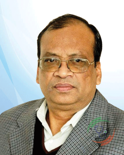 Prof. Dr. ABM Abdullah